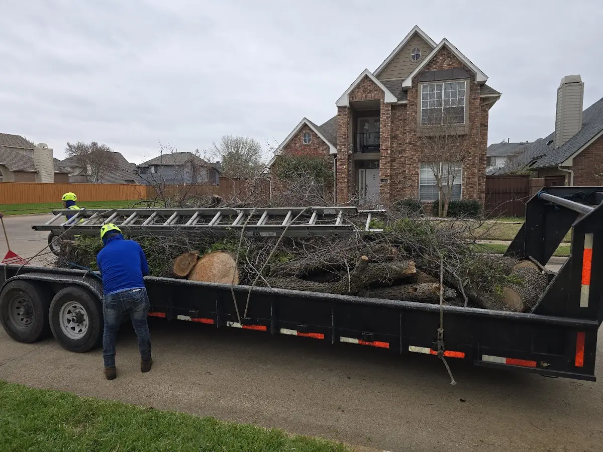 Expert Lot Clearing with proper safety equipment in Teachey